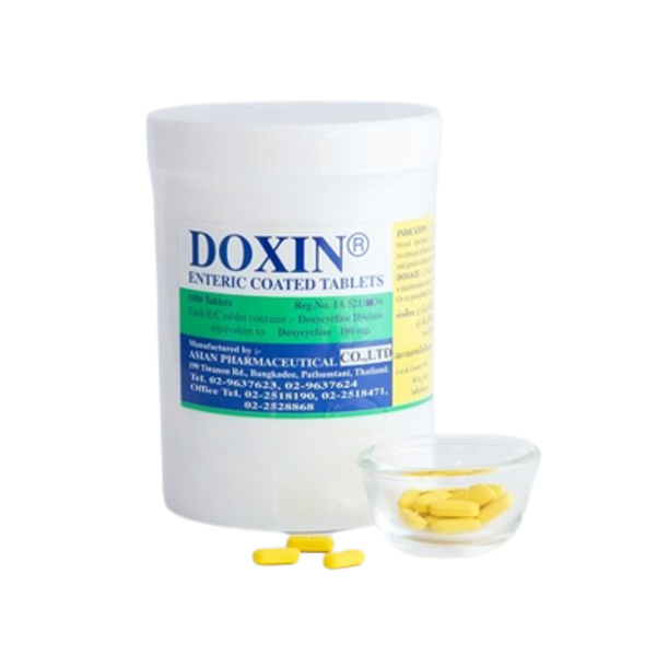 Doxin enteric-coated tablets 100mg ASIAN PHARM (Bottle/1000s) - Buymed ...
