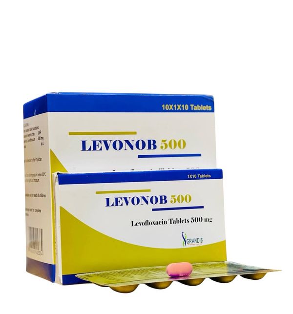 LEVONOB-500 (Levofloxacin 500mg, 100 Tabs) - បាយមេដ ខេមបូឌា - Buymed ...